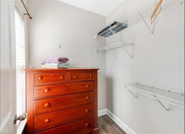 2431 Eagle Creek Ct Unit 203, Winston-Salem, NC 27103 - spacious closet with dark wood-style floors