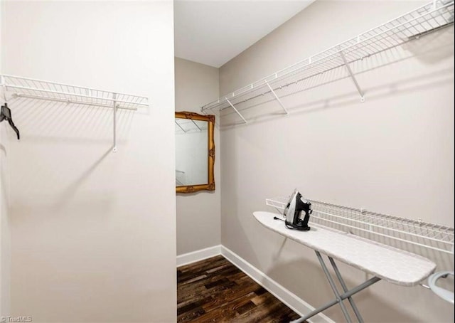 2431 Eagle Creek Ct Unit 203, Winston-Salem, NC 27103 - walk in closet with dark wood finished floors