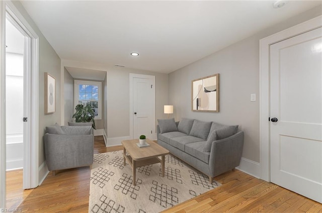 living room with light wood-type flooring