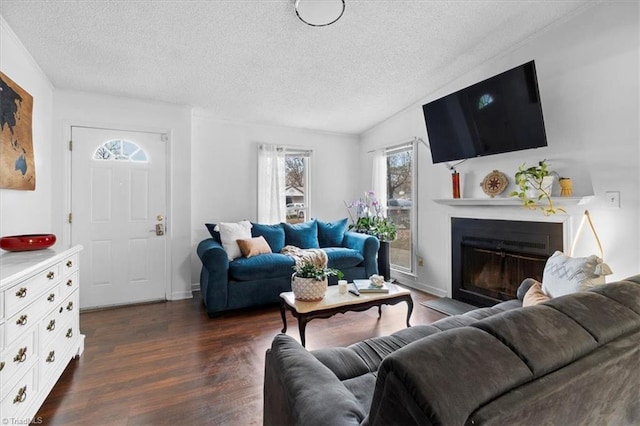 living room with dark hardwood / wood-style flooring and a textured ceiling