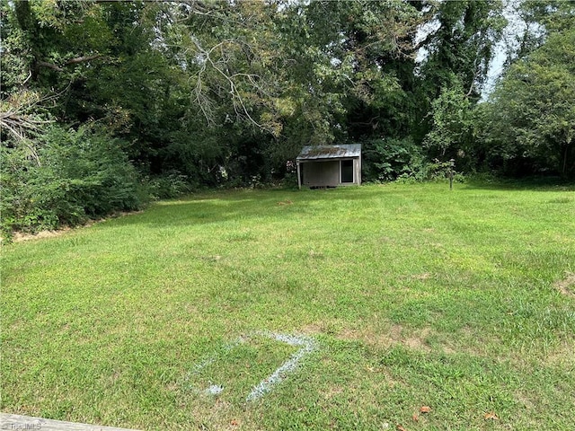 view of yard featuring a storage shed