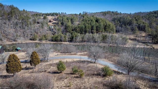 LOT46 New River Lndg, Crumpler NC, 28617 land for sale