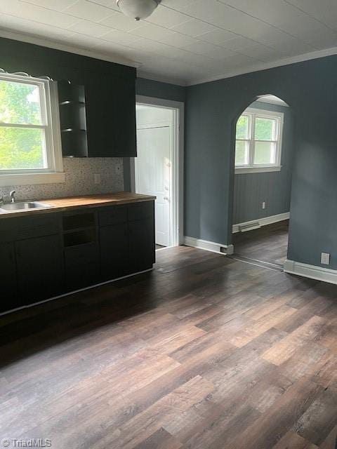 kitchen featuring crown molding, sink, and dark wood-type flooring