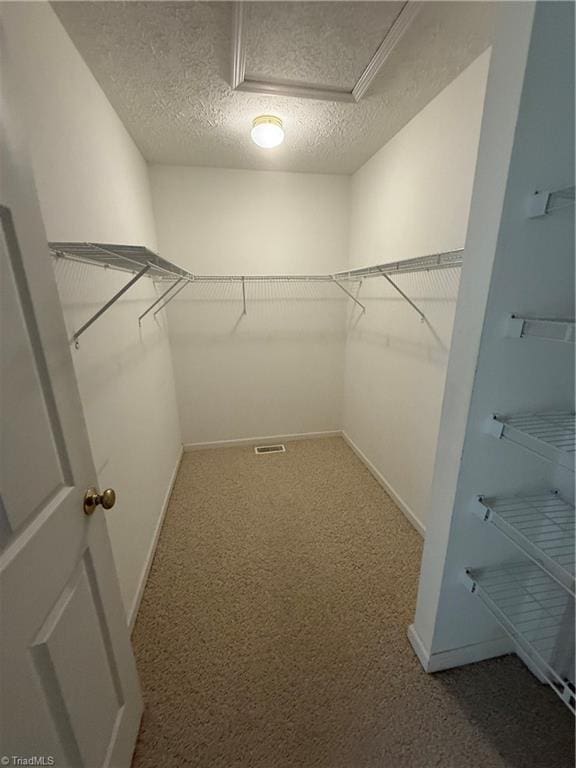 walk in closet with visible vents, attic access, and carpet floors