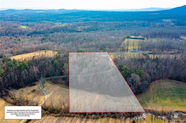 birds eye view of property featuring a forest view and a mountain view