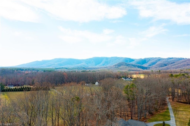 view of mountain feature featuring a forest view