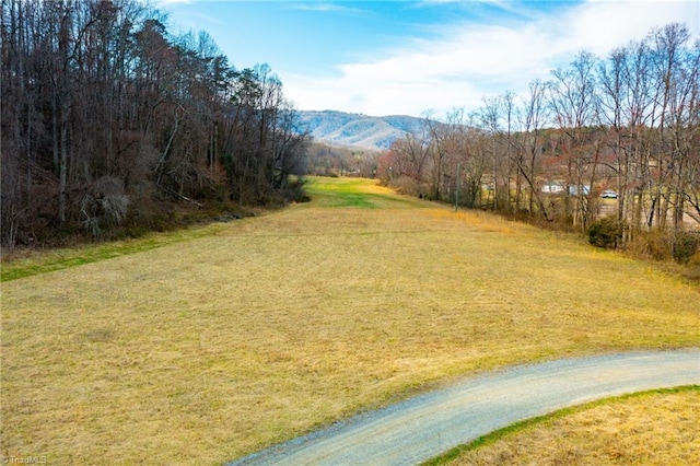 view of yard with a mountain view