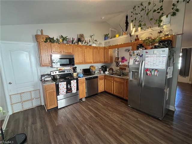 kitchen with sink, stainless steel appliances, lofted ceiling, and dark hardwood / wood-style flooring