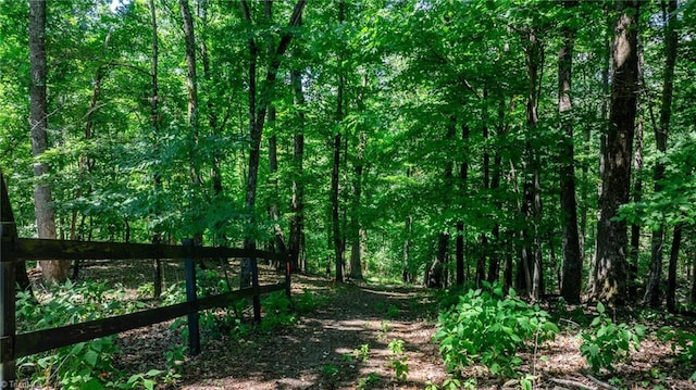 view of local wilderness