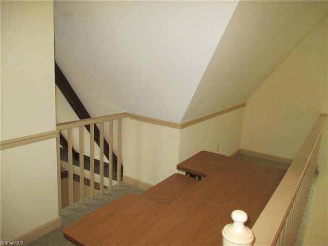 staircase featuring carpet floors