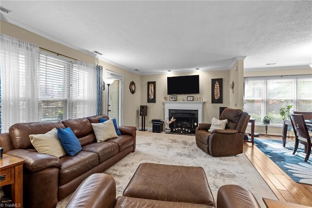 3100 Coachmans Way, Durham, NC 27705 - living room with a fireplace with flush hearth, a textured ceiling, a healthy amount of sunlight, and ornamental molding