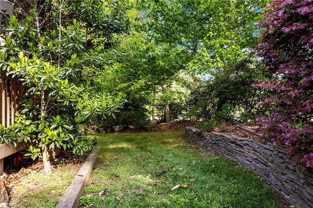 3100 Coachmans Way, Durham, NC 27705 - view of yard