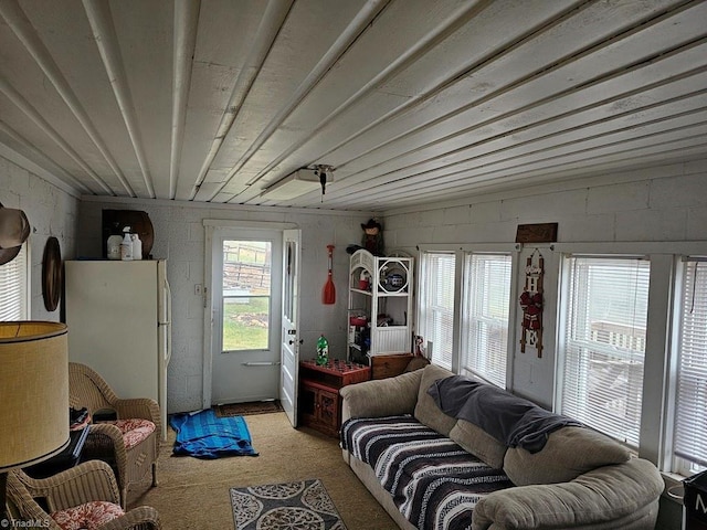 4793 Cheek Mountain Rd, Laurel Springs, NC 28644 - living area with carpet floors