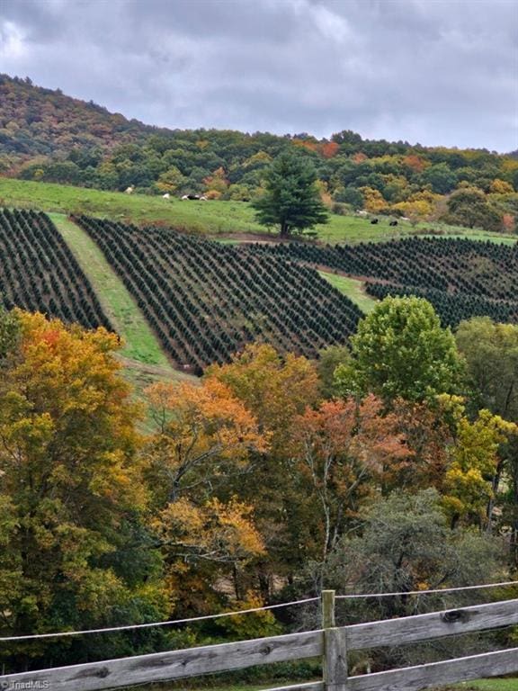 4793 Cheek Mountain Rd, Laurel Springs, NC 28644 - mountain view with farmland and rural landscape