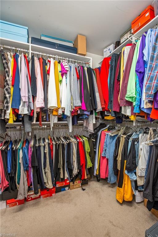 spacious closet with carpet