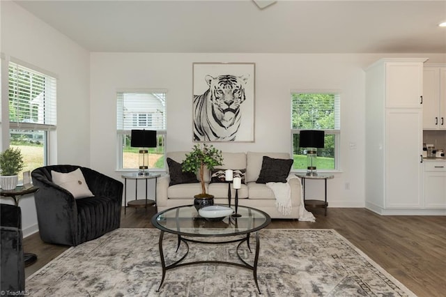 6021 Crestridge Ln Unit 1003, Winston-Salem, NC 27105 - living room featuring wood finished floors and healthy amount of natural light