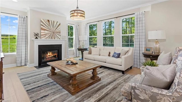 living room featuring a chandelier, light wood-type flooring, and crown molding