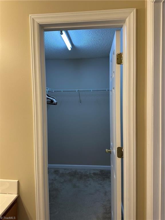 walk in closet with carpet floors