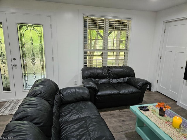 living room featuring dark hardwood / wood-style floors