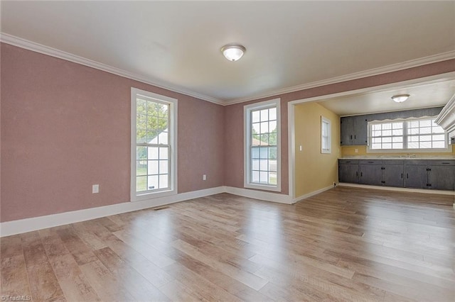 unfurnished living room featuring light hardwood / wood-style floors and crown molding