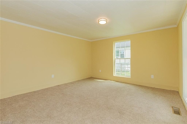 unfurnished room with carpet flooring and crown molding