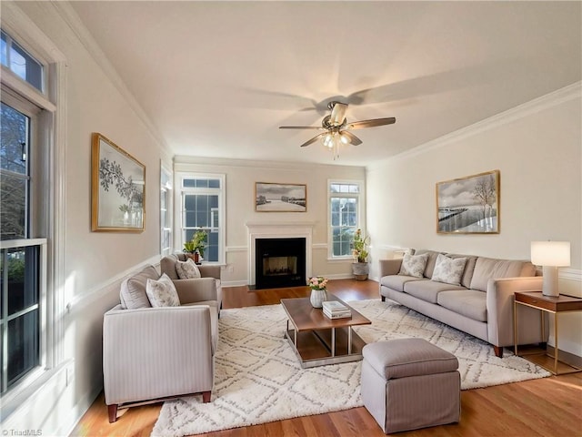 living room with light hardwood / wood-style floors, ceiling fan, and ornamental molding