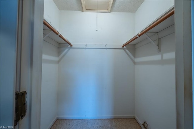 spacious closet with attic access