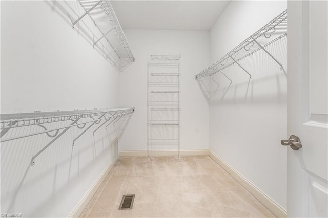 walk in closet with carpet