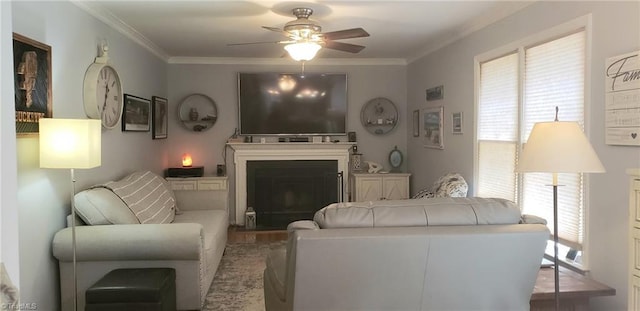2007 Kildare Woods Dr, Greensboro, NC 27407 - living area featuring ceiling fan, healthy amount of natural light, ornamental molding, and a fireplace
