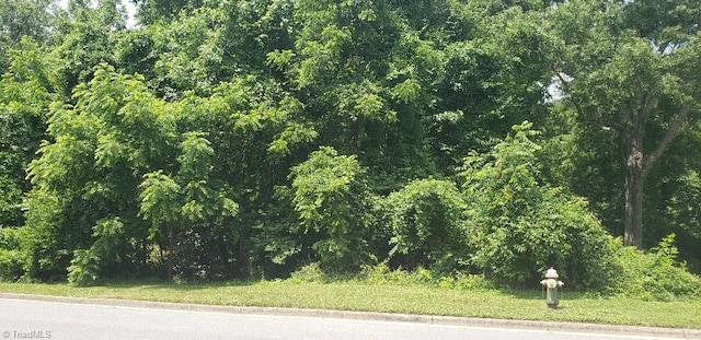 2007 Kildare Woods Dr, Greensboro, NC 27407 - view of local wilderness