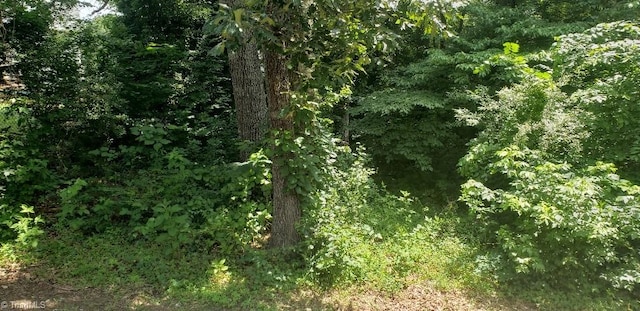 2007 Kildare Woods Dr, Greensboro, NC 27407 - view of tree filled area