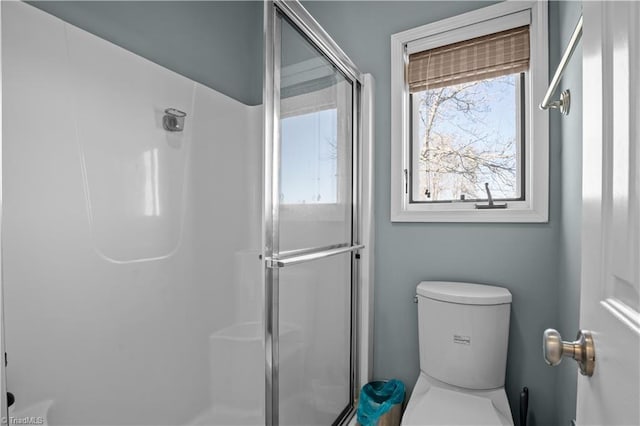 bathroom with toilet, a wealth of natural light, and a shower with door