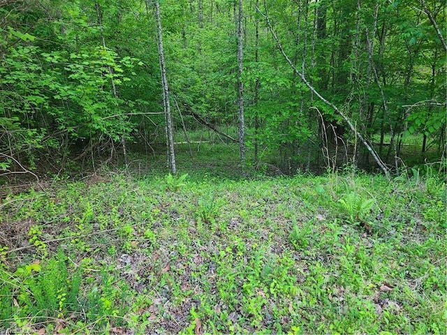 Listing photo 2 for LOT15 Williams Farm Rd, Wilkesboro NC 28697