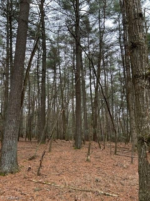 514 Sylvan Rd, Thurmond NC, 28683 land for sale