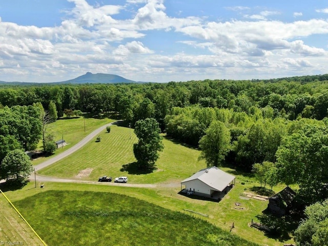431 Needham Rd, Pilot Mountain, NC 27041 - overview of rural landscape