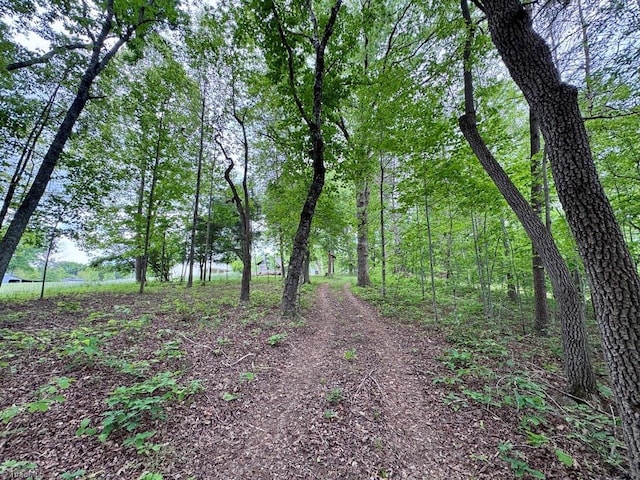 431 Needham Rd, Pilot Mountain, NC 27041 - view of undeveloped land