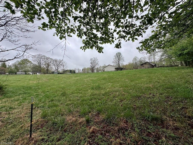 431 Needham Rd, Pilot Mountain, NC 27041 - view of yard