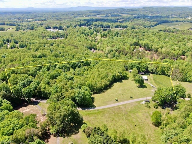 431 Needham Rd, Pilot Mountain, NC 27041 - aerial view of property's location with a forest and property boundaries highlighted
