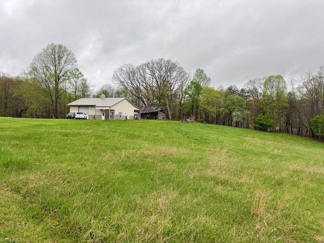 431 Needham Rd, Pilot Mountain, NC 27041 - view of yard