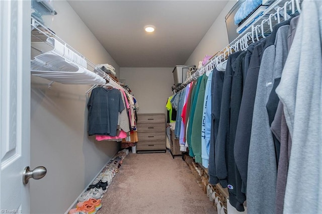1765 Midway School Rd, Winston-Salem, NC 27107 - spacious closet featuring carpet