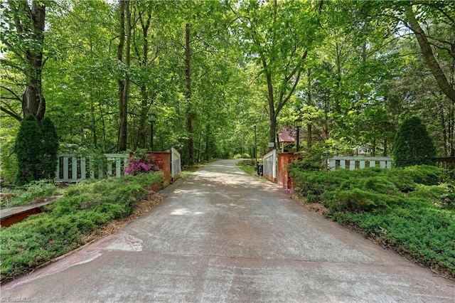 view of street featuring a view of trees and driveway