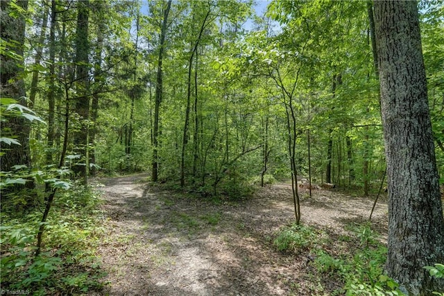 view of nature with a wooded view