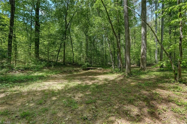 view of local wilderness featuring a view of trees