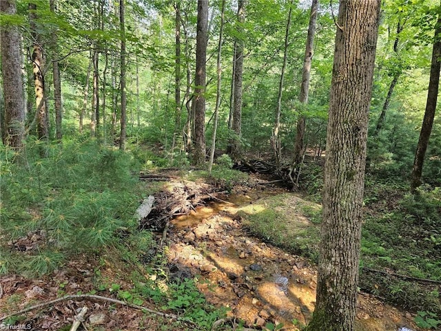 LOT82TBD Mcintosh Dr, Lowgap, NC 27024