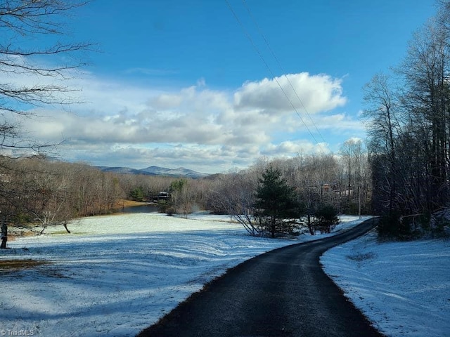LOT82TBD Mcintosh Dr, Lowgap, NC 27024