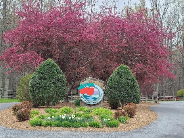 LOT82TBD Mcintosh Dr, Lowgap, NC 27024