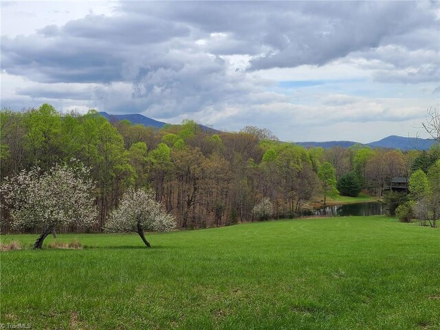 LOT82TBD Mcintosh Dr, Lowgap, NC 27024