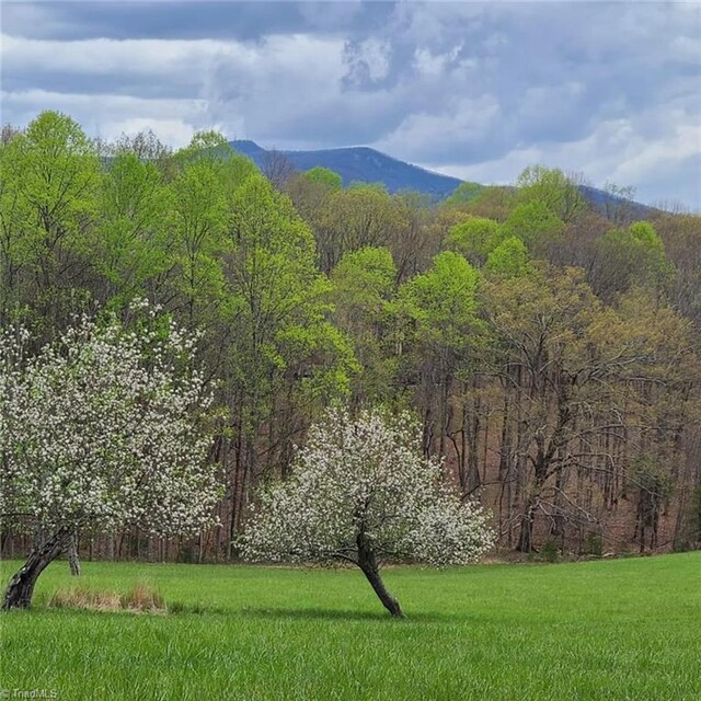 LOT82TBD Mcintosh Dr, Lowgap, NC 27024