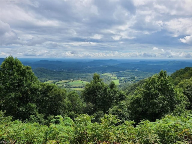 LOT82TBD Mcintosh Dr, Lowgap, NC 27024