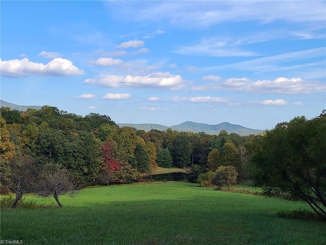 LOT82TBD Mcintosh Dr, Lowgap, NC 27024